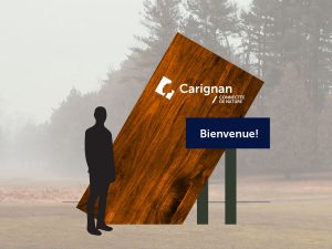 Ville de Carignan - image